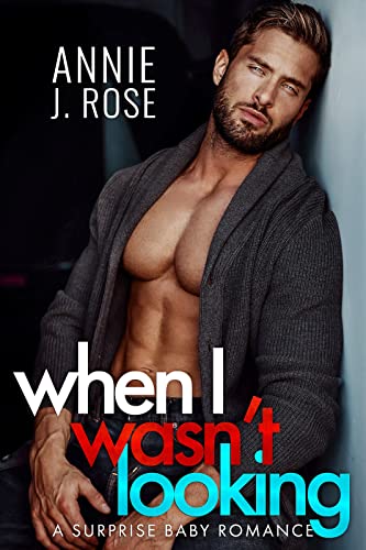 When I Wasn't Looking by Annie J. Rose